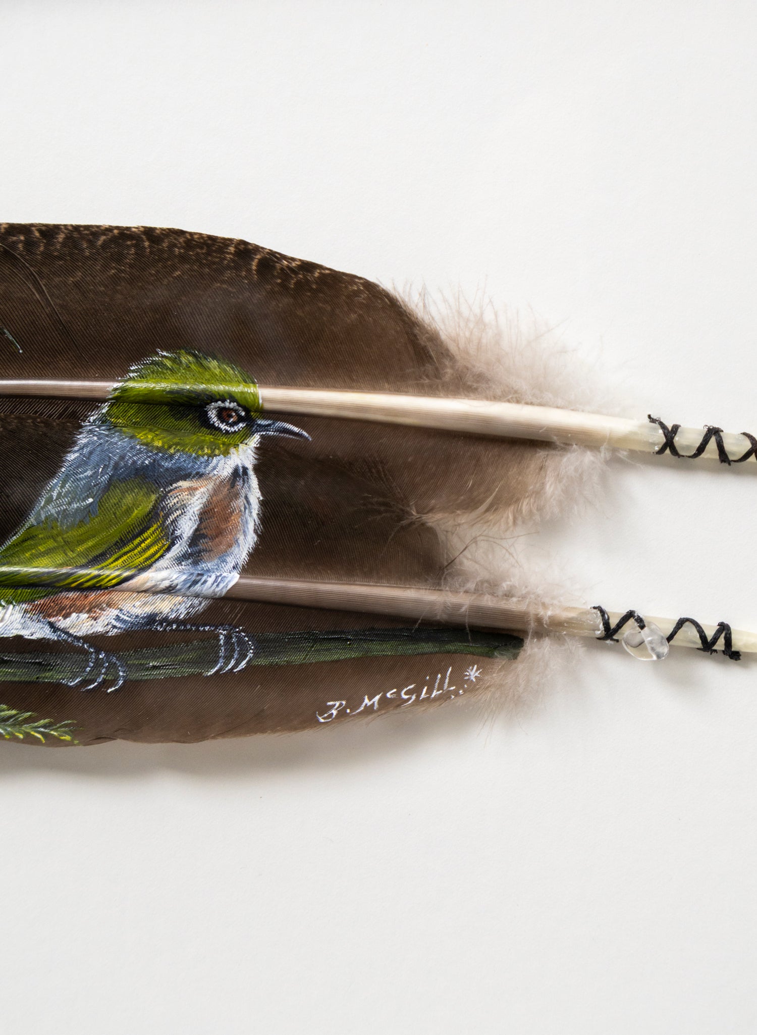 Waxeye Love - Framed