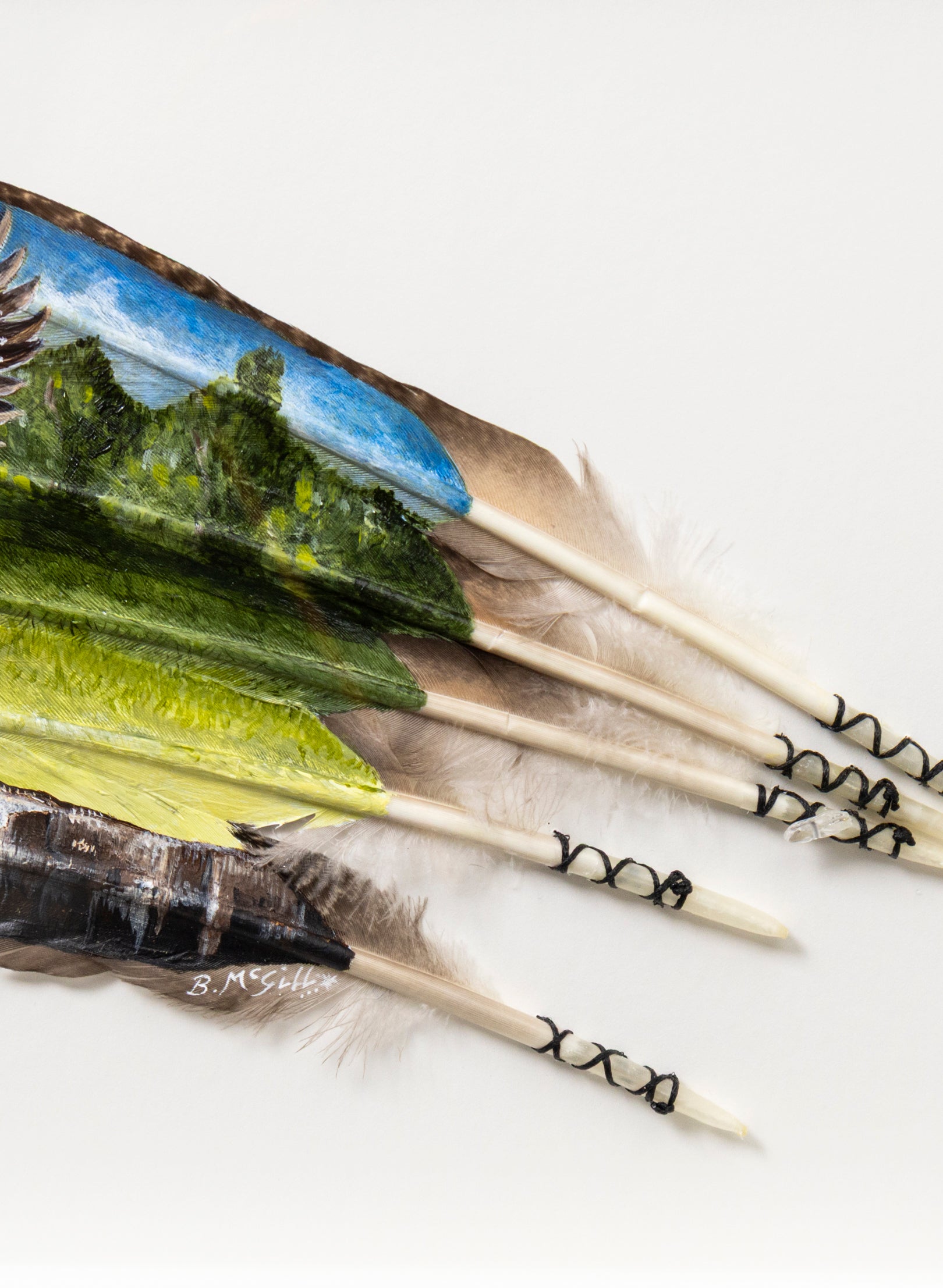 Coming Into Land - Framed