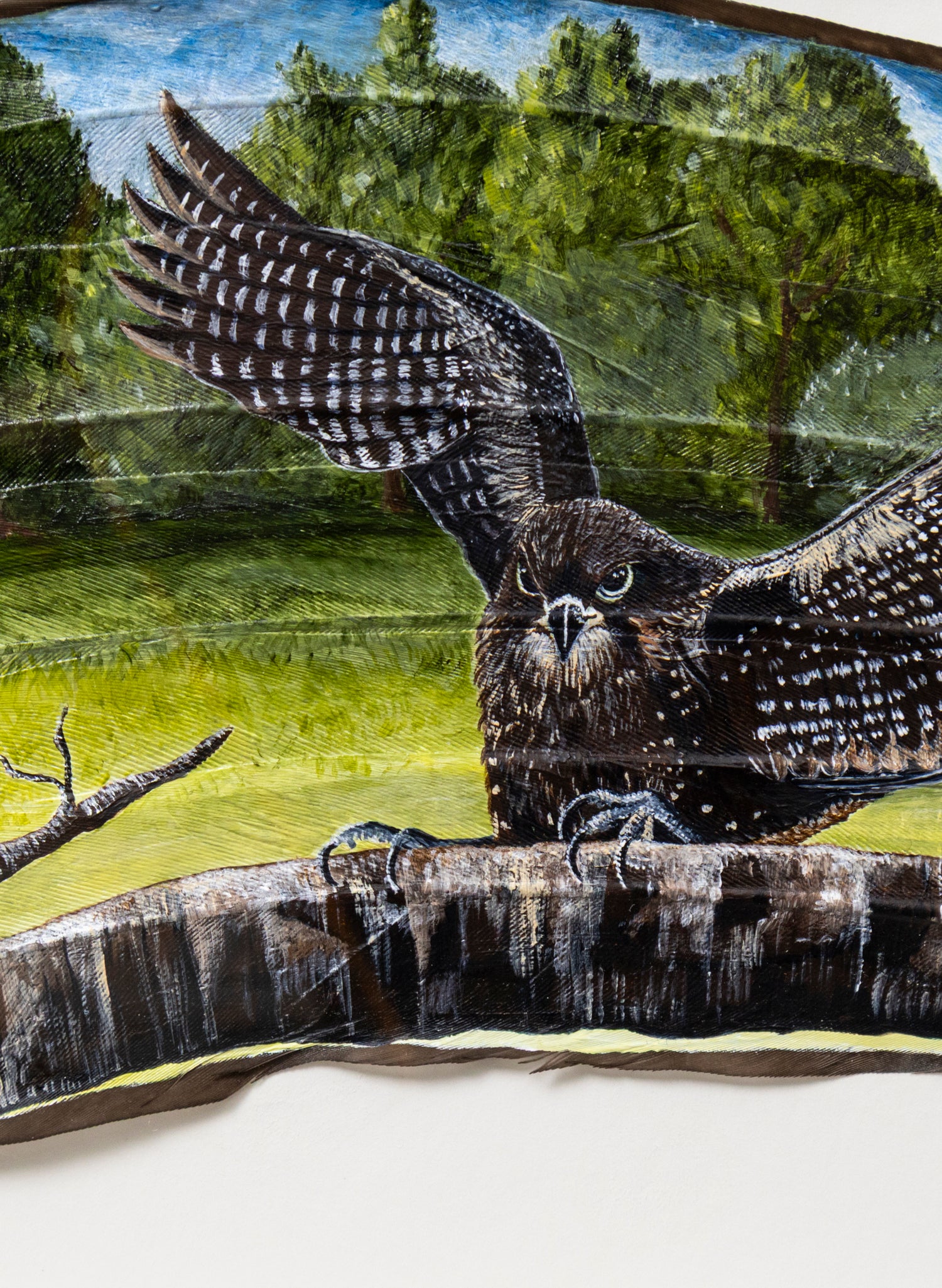 Coming Into Land - Framed