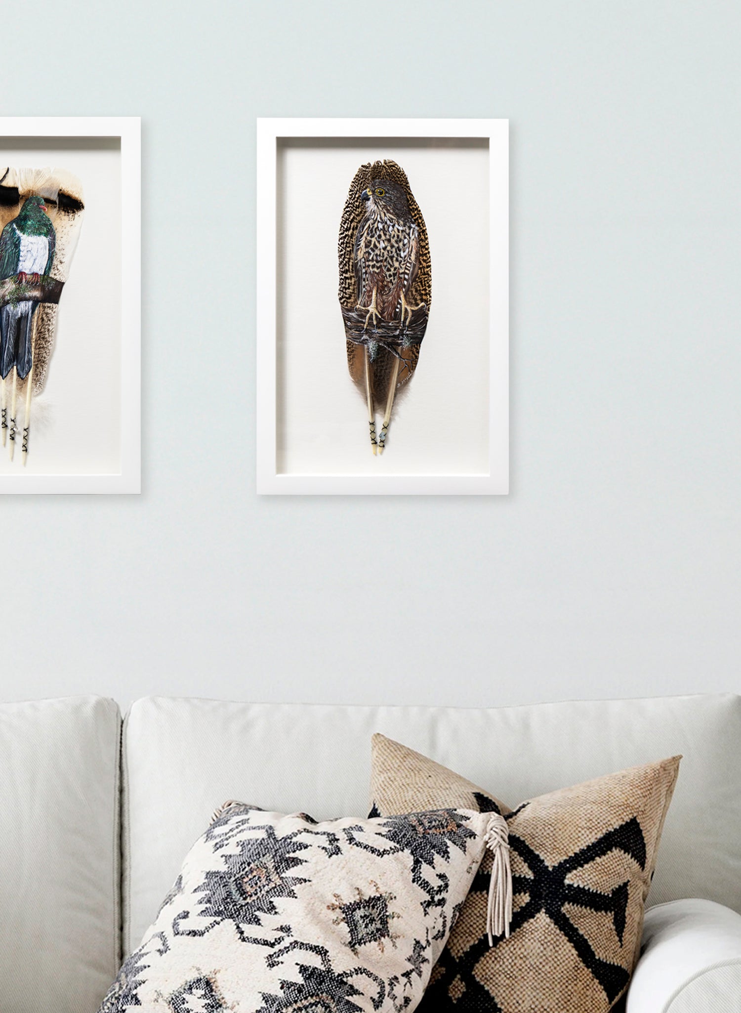 NZ Falcon Kārearea - Framed