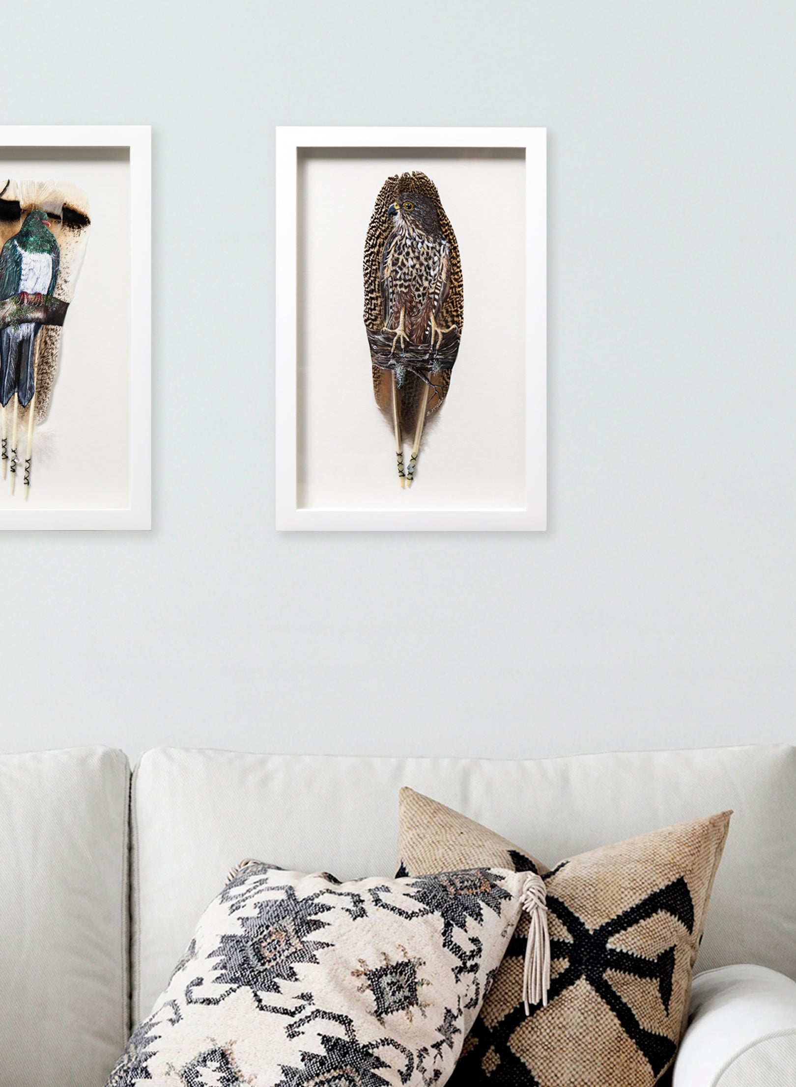 NZ Falcon Kārearea - Framed