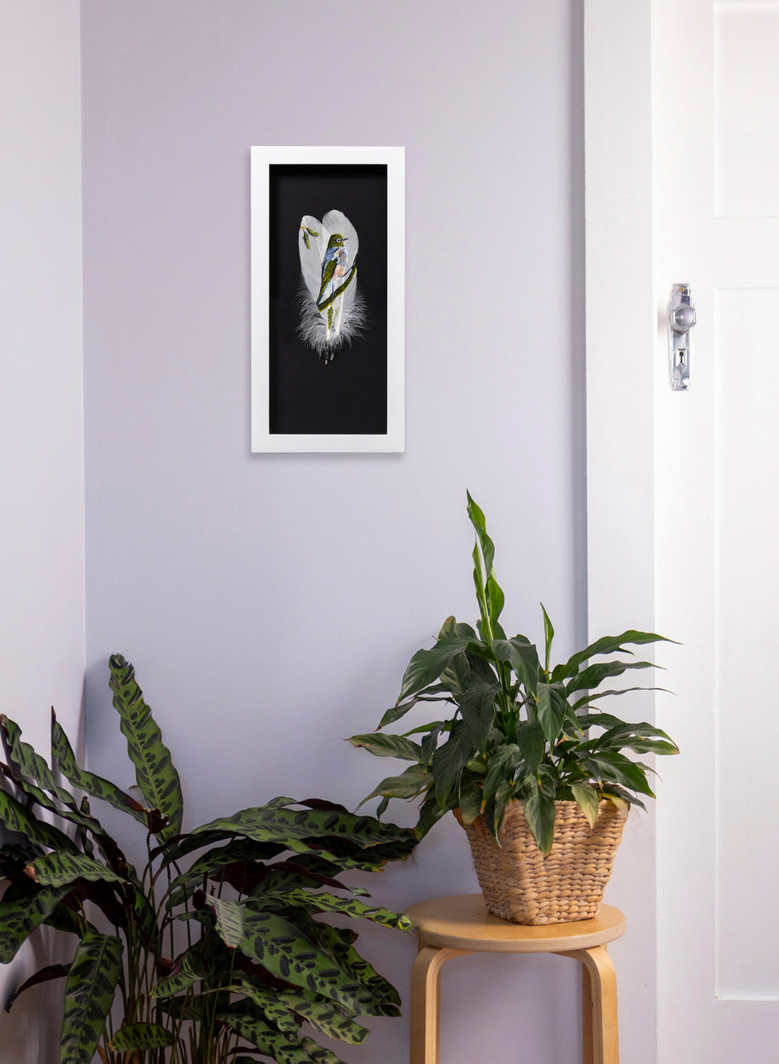 Waxeye Tauhou  - Framed