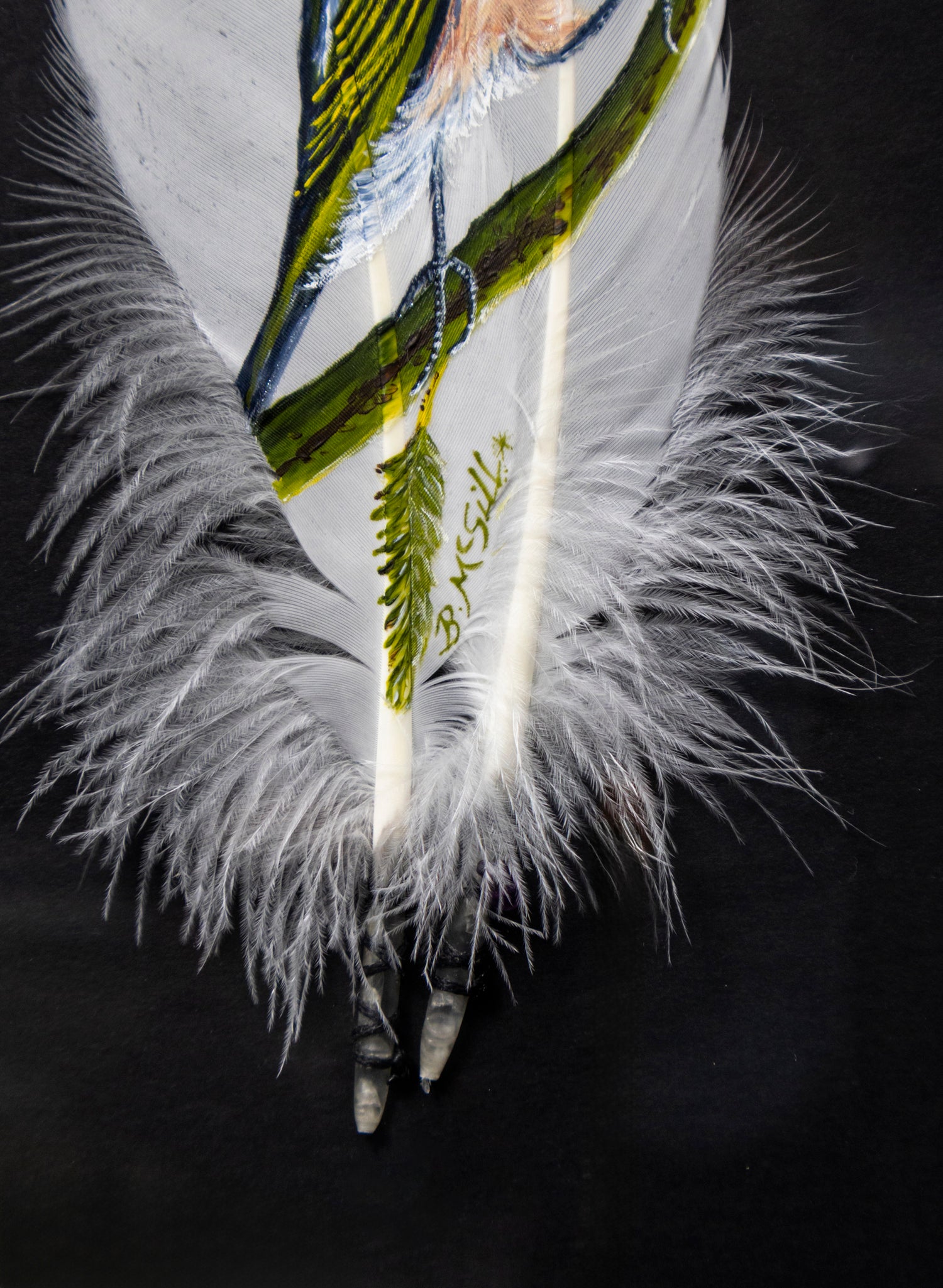 Waxeye Tauhou  - Framed