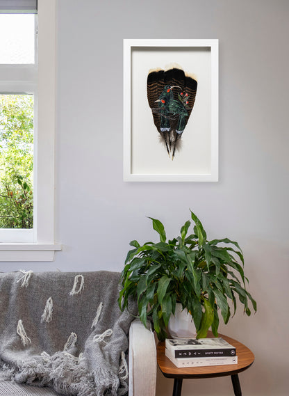 Huia Pair - Framed