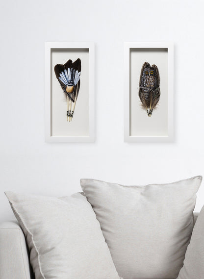 Fantail Pīwakawaka  - Framed