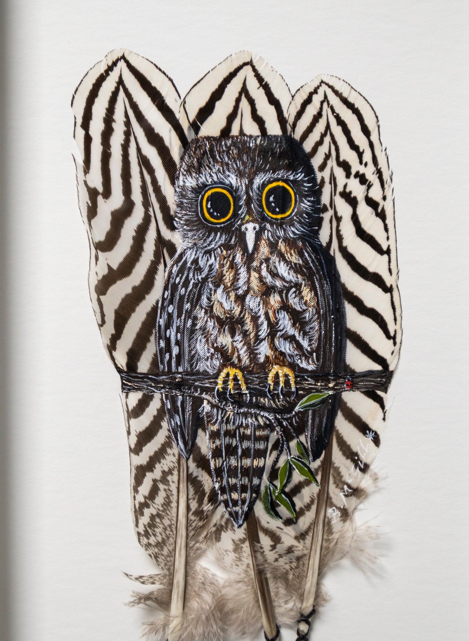 Morepork Ruru Striped Feathers