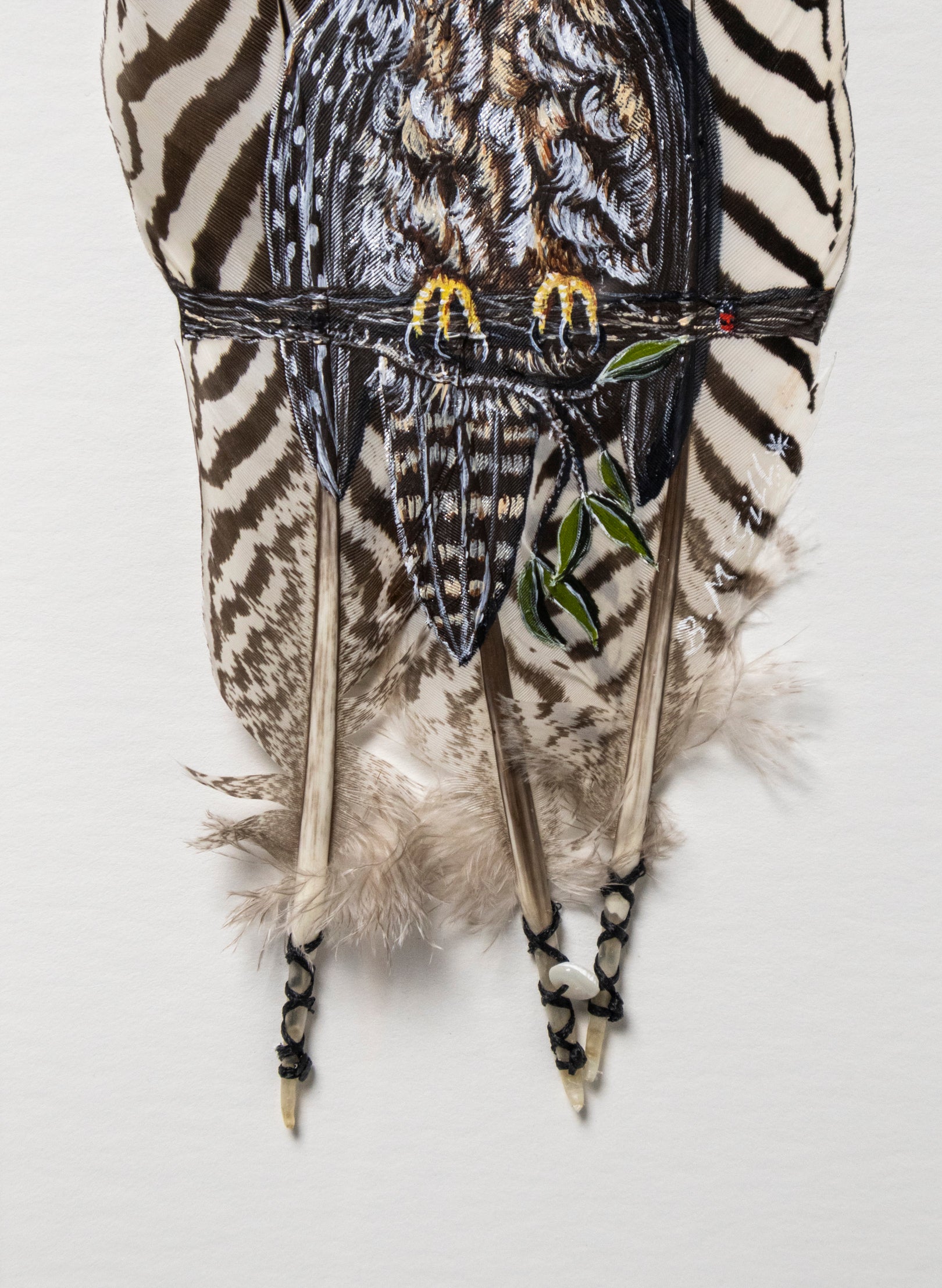 Morepork Ruru Striped Feathers