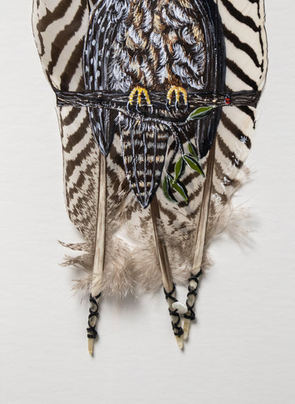 Morepork Ruru Striped Feathers
