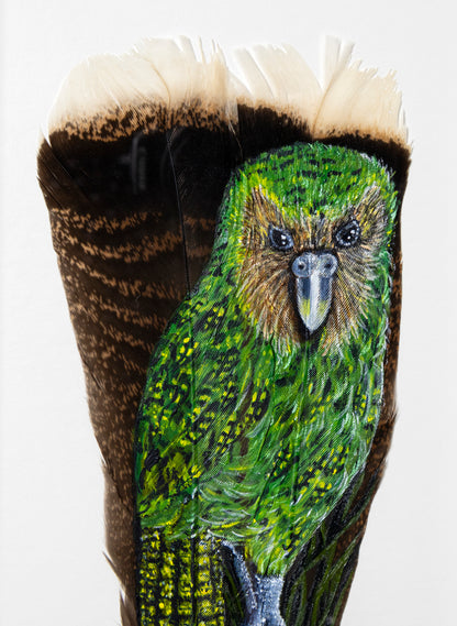 Kākāpō - Framed