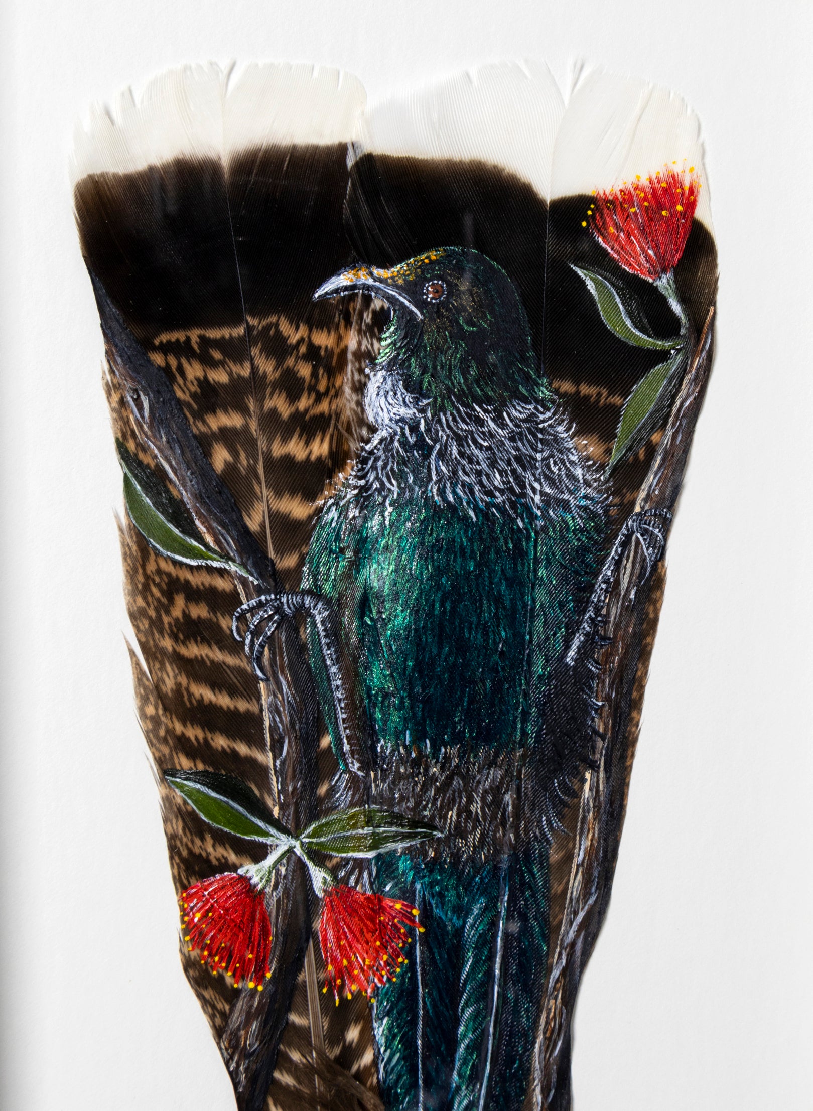 Tūī on Pōhutukawa - Framed