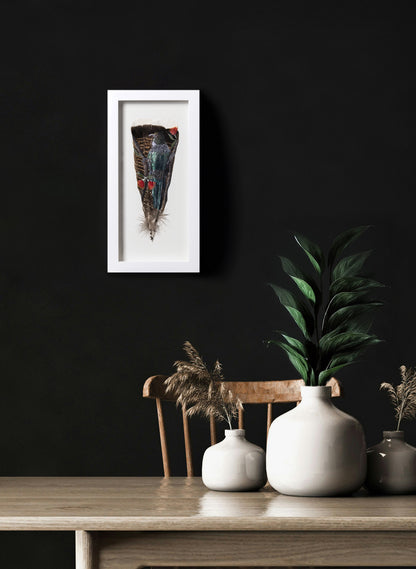 Tūī on Pōhutukawa - Framed