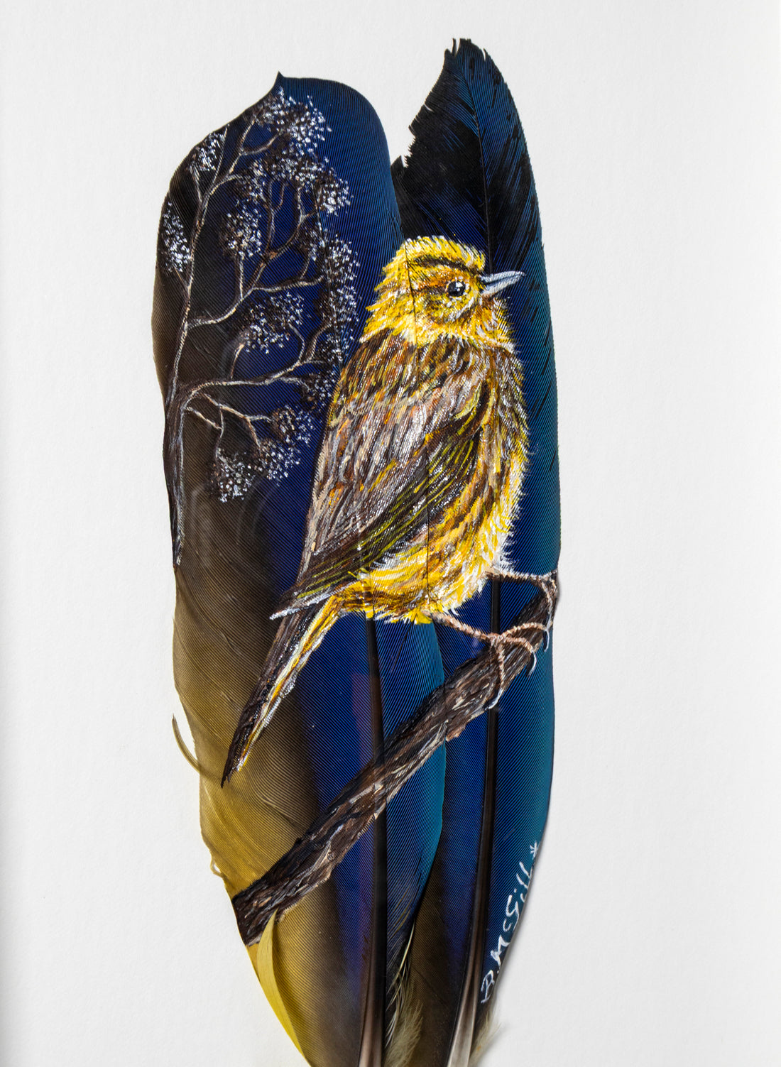 Yellow Hammer - Framed