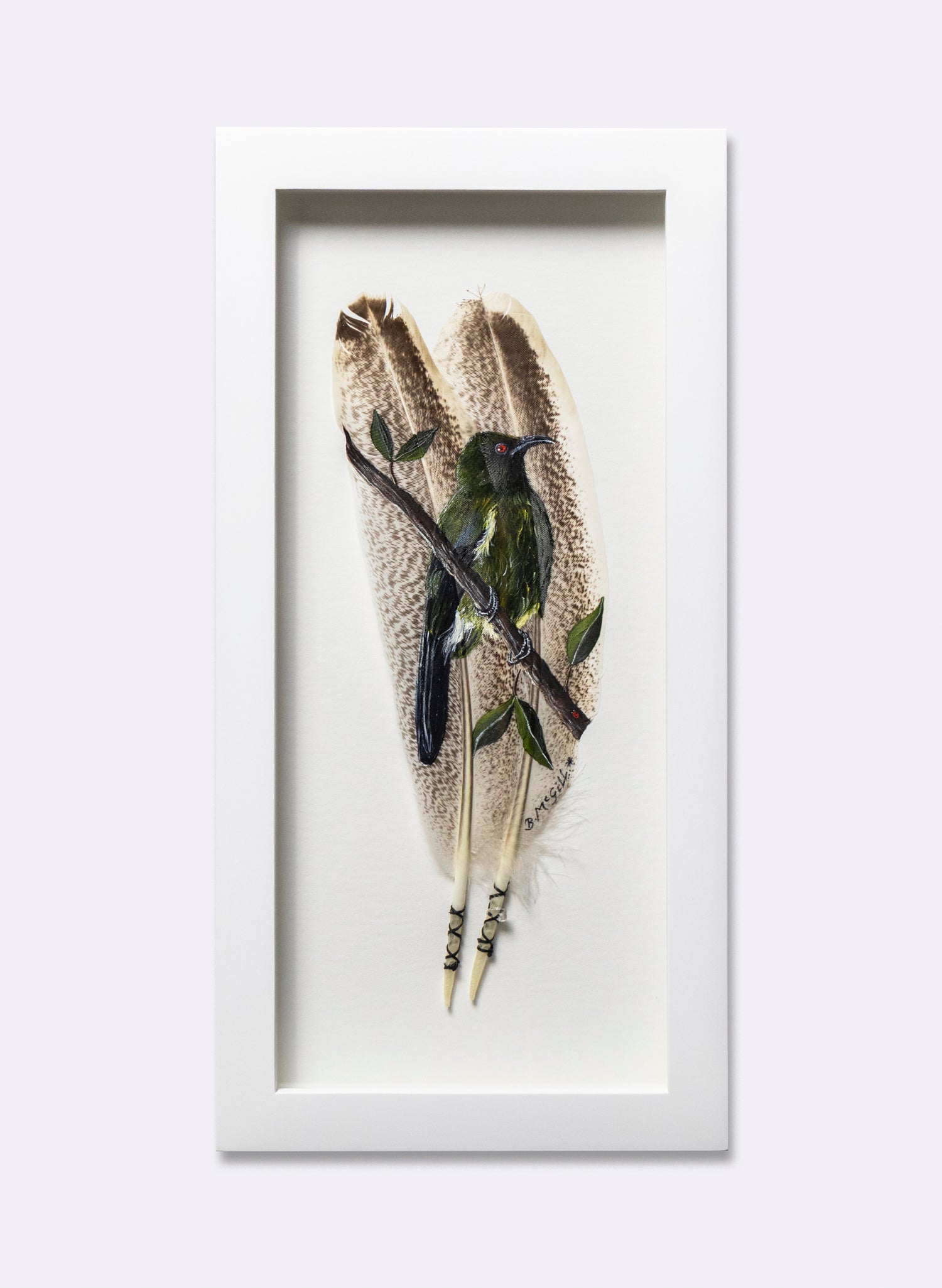 Bellbird - Korimako - Framed