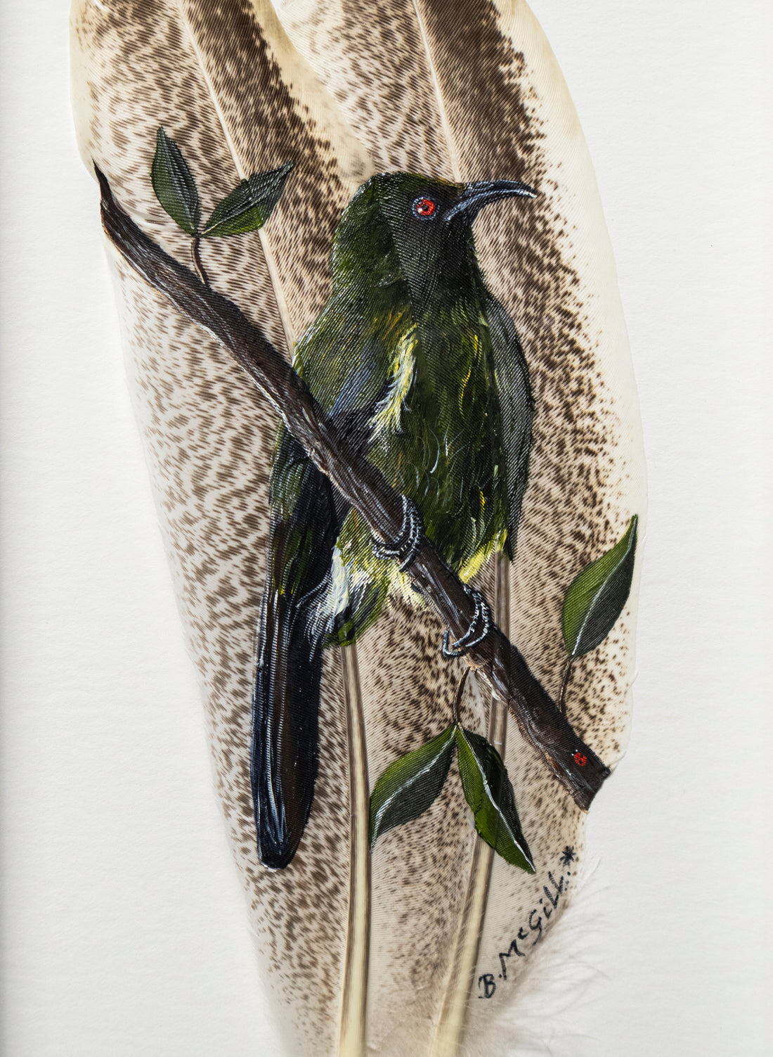 Bellbird - Korimako - Framed