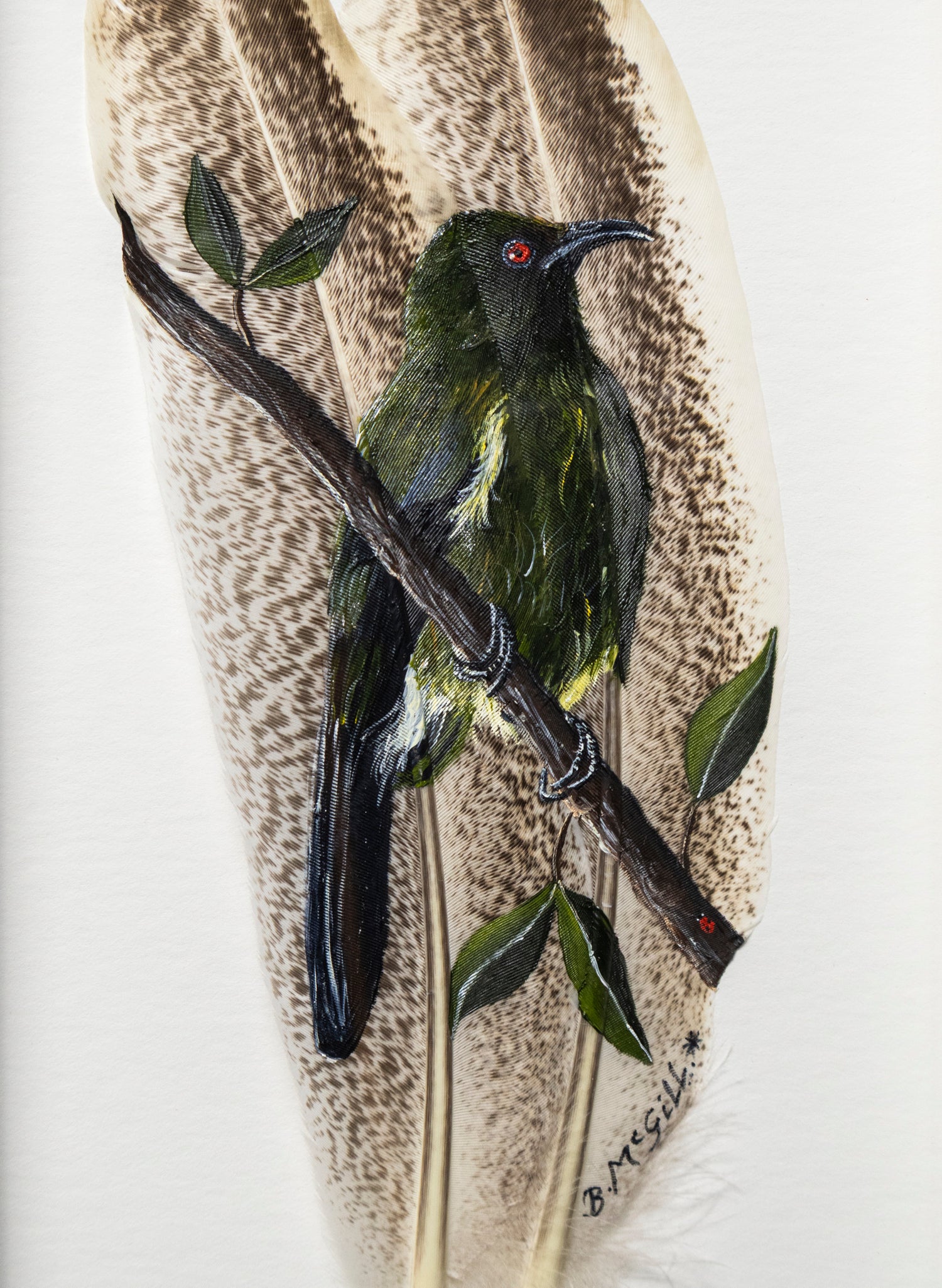 Bellbird - Korimako - Framed