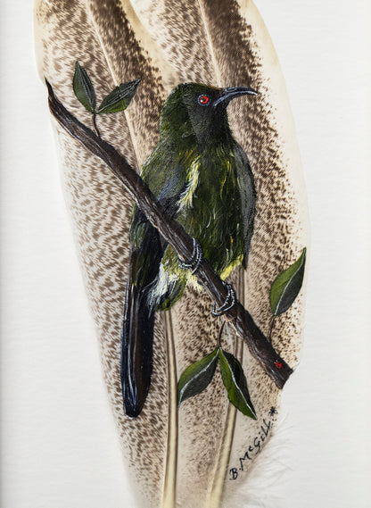 Bellbird - Korimako - Framed