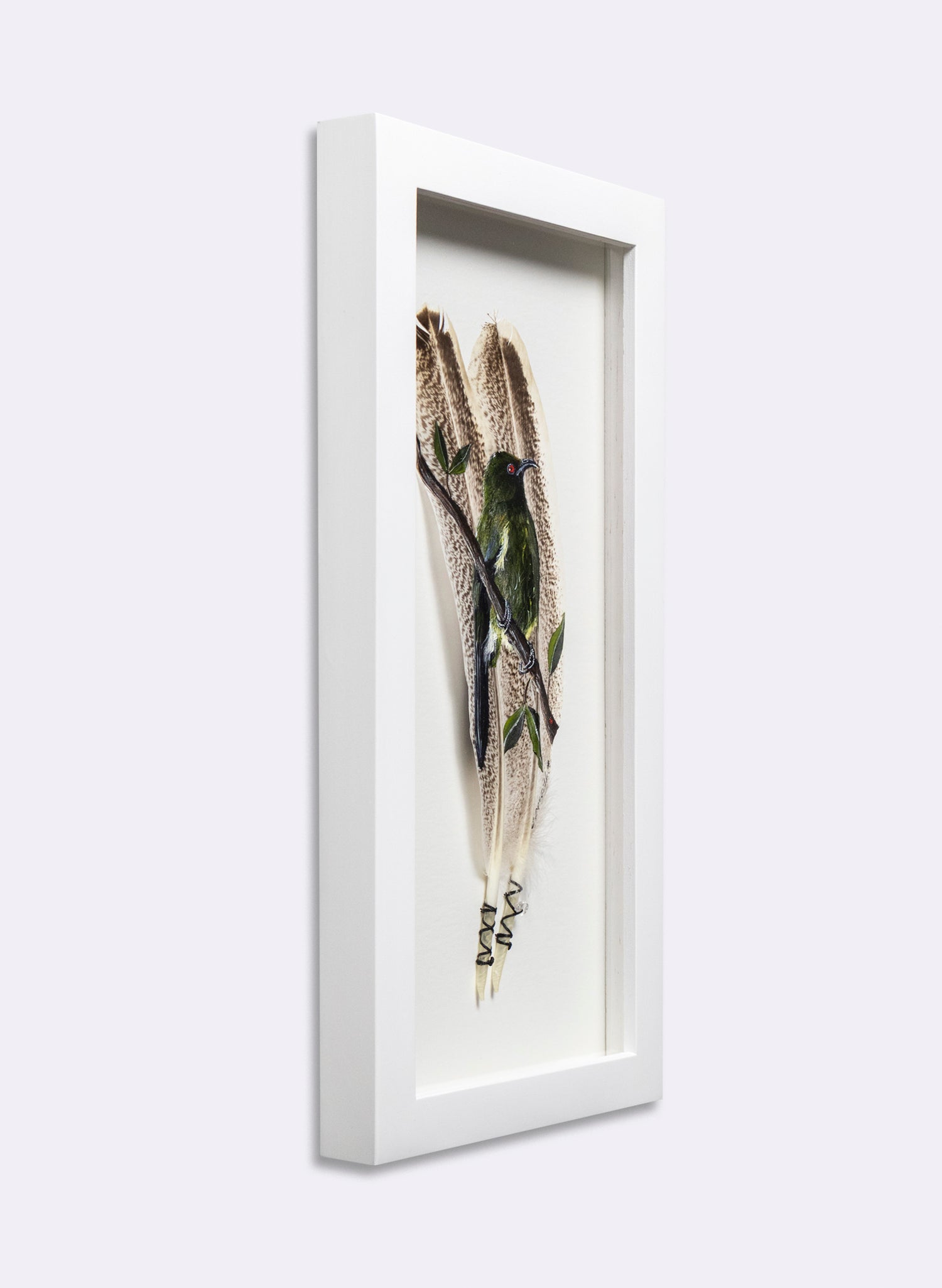 Bellbird - Korimako - Framed