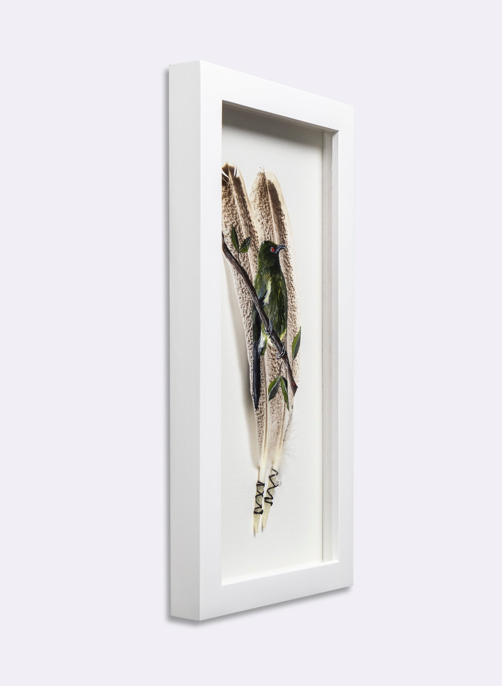 Bellbird - Korimako - Framed