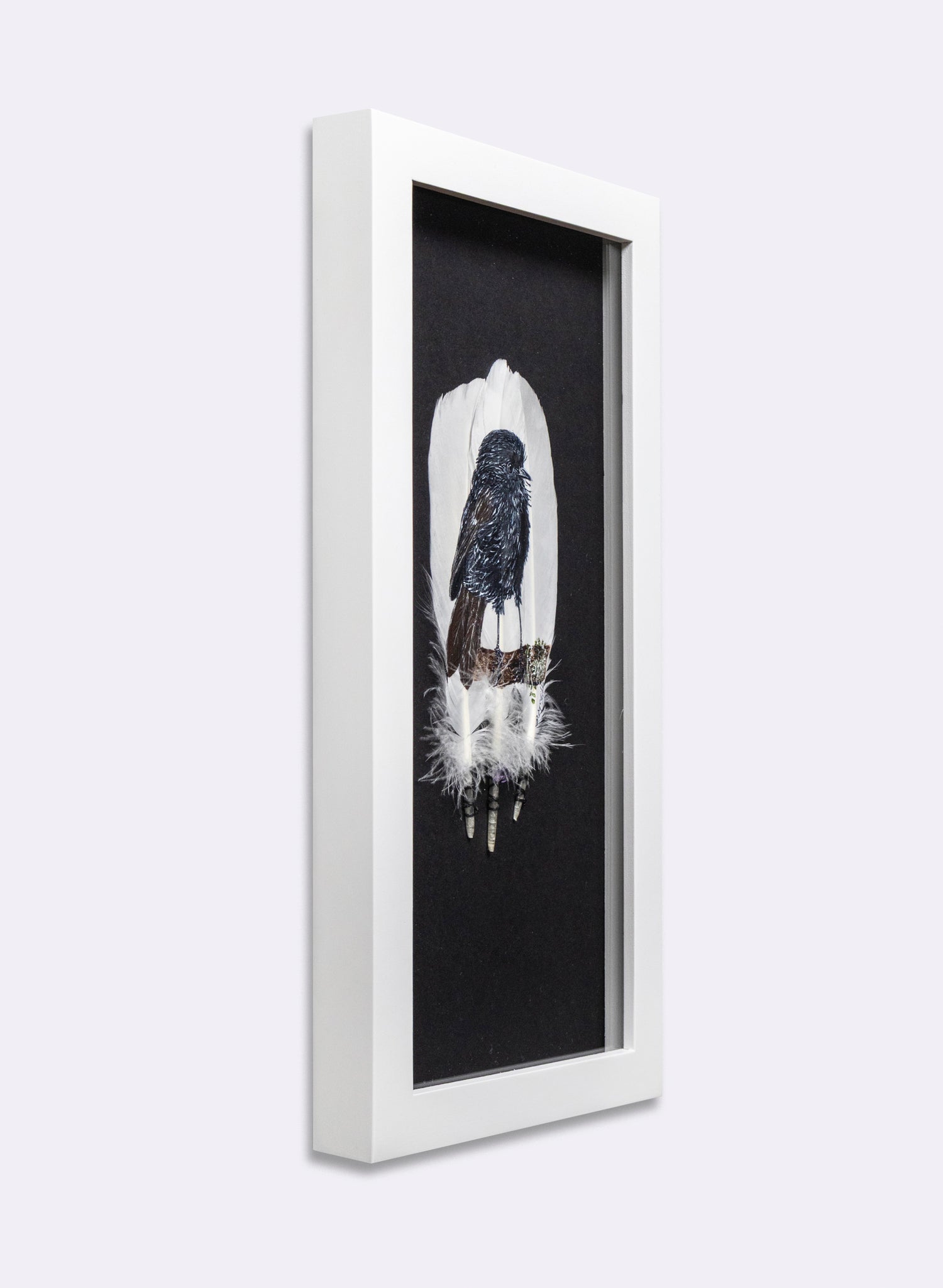 Black Robin - Kārure - Framed