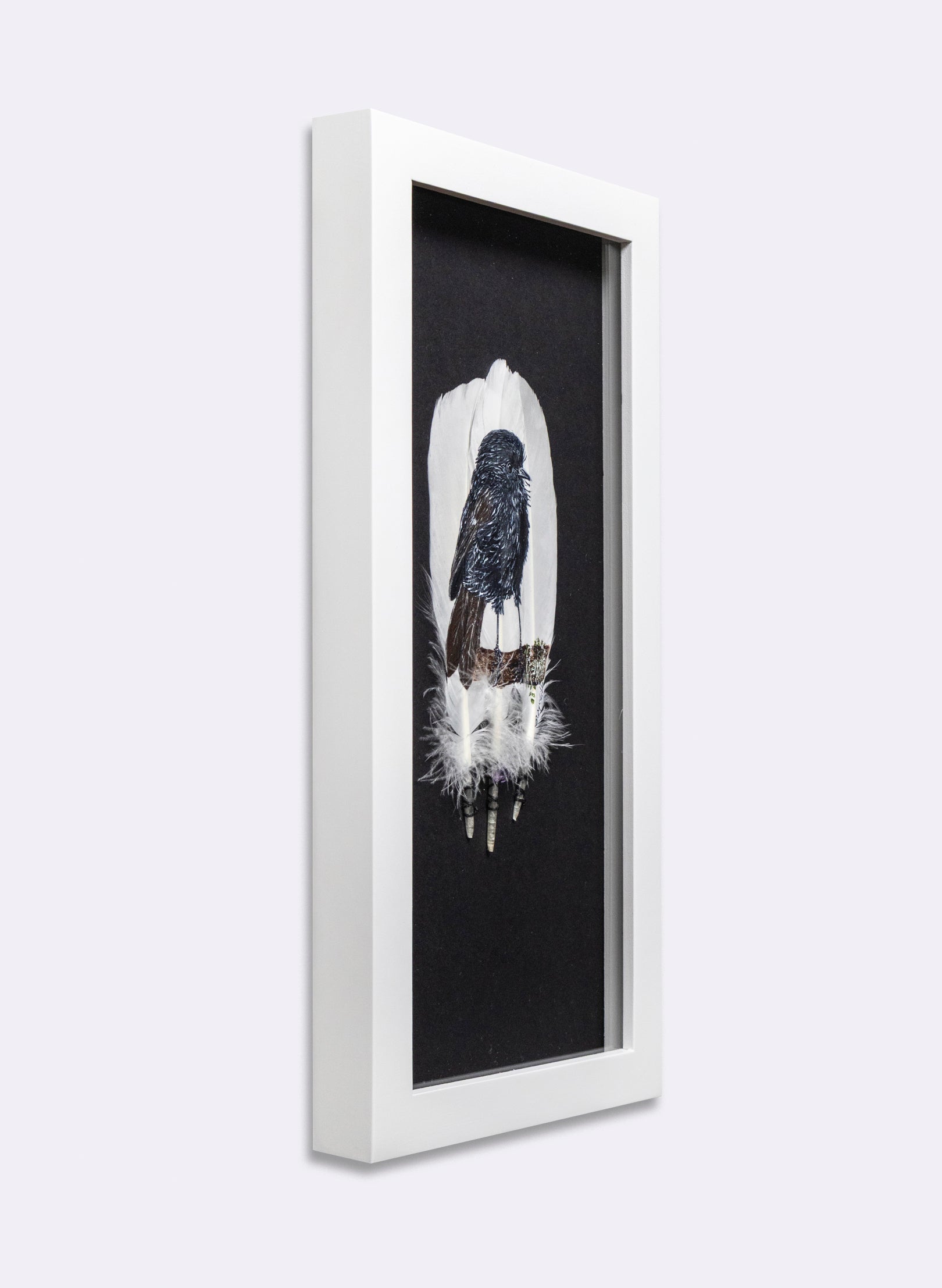 Black Robin - Kārure - Framed