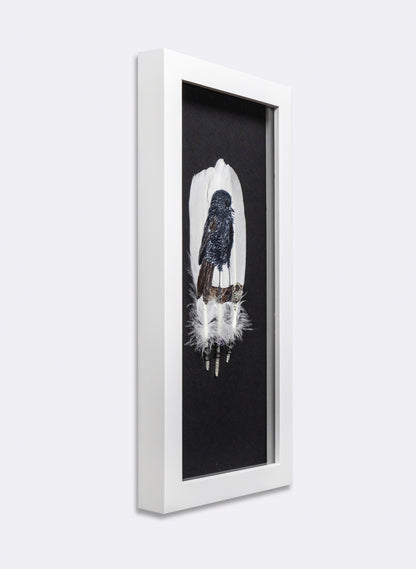 Black Robin - Kārure - Framed