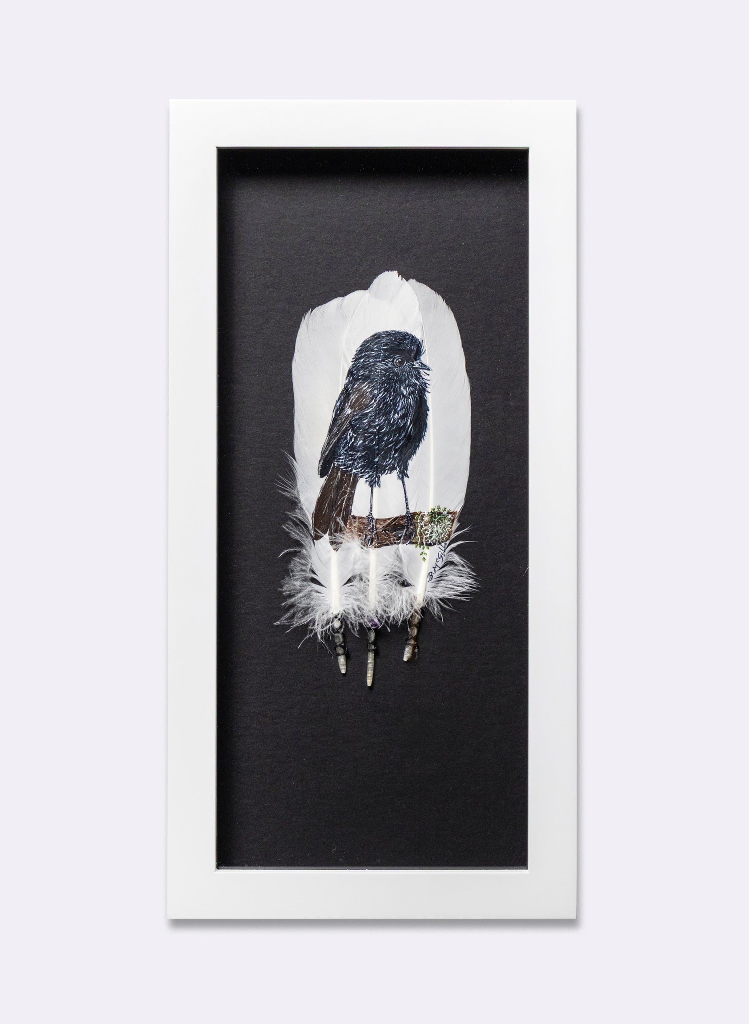 Black Robin - Kārure - Framed