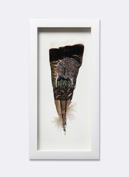 Kiwi - Framed