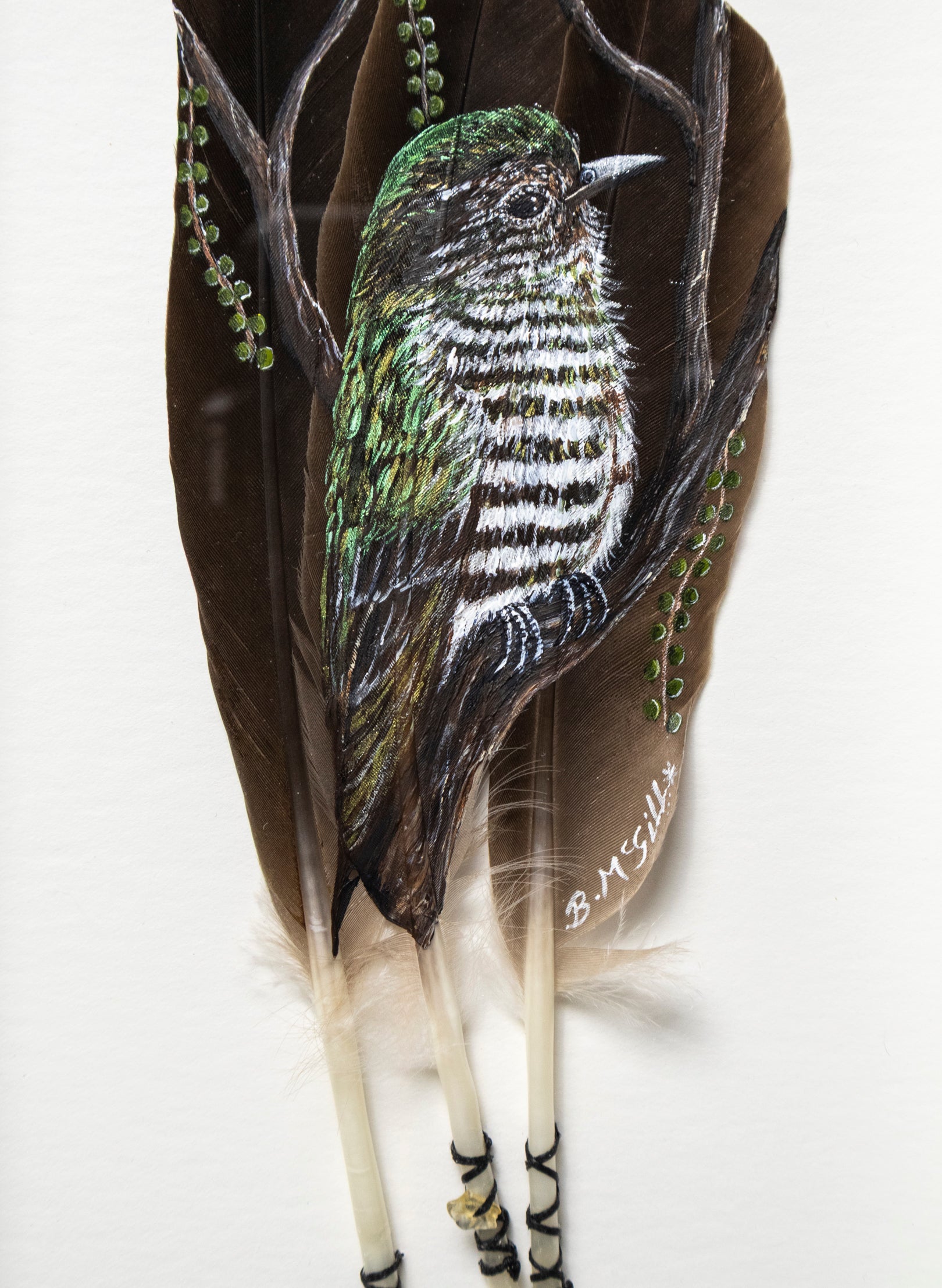 Shining Cuckoo - Pīpīwharauroa - Framed