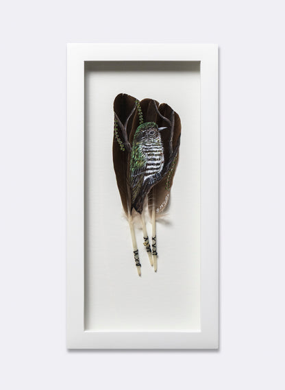 Shining Cuckoo - Pīpīwharauroa - Framed