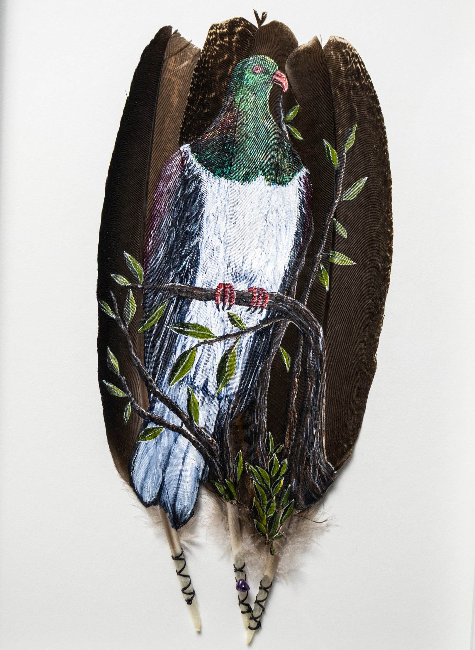 NZ Wood Pigeon - Kererū - Framed
