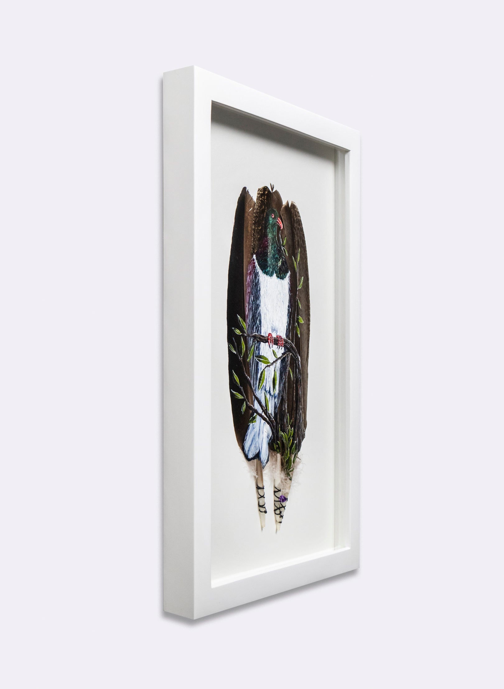 NZ Wood Pigeon - Kererū - Framed