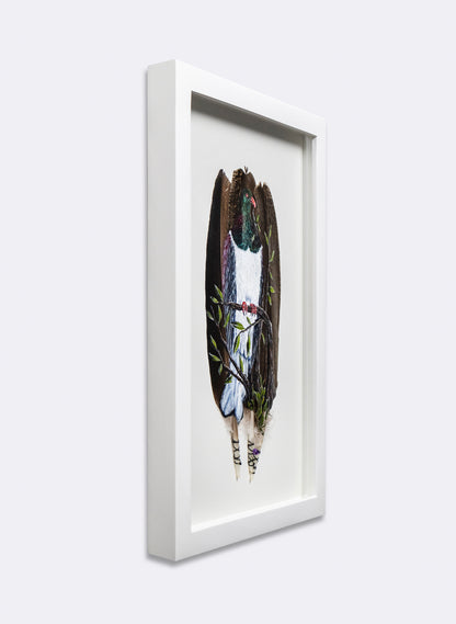 NZ Wood Pigeon - Kererū - Framed