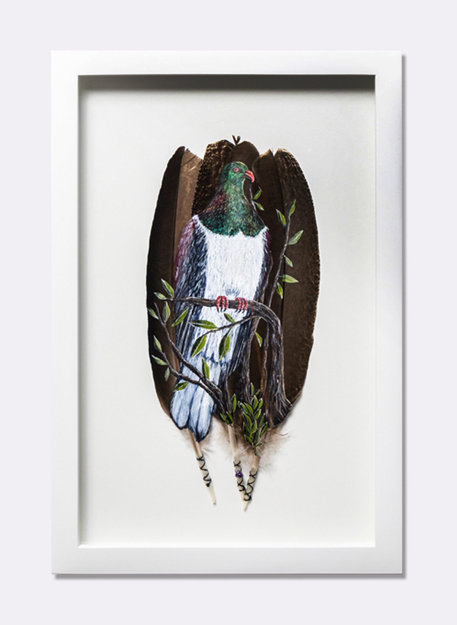 NZ Wood Pigeon - Kererū - Framed