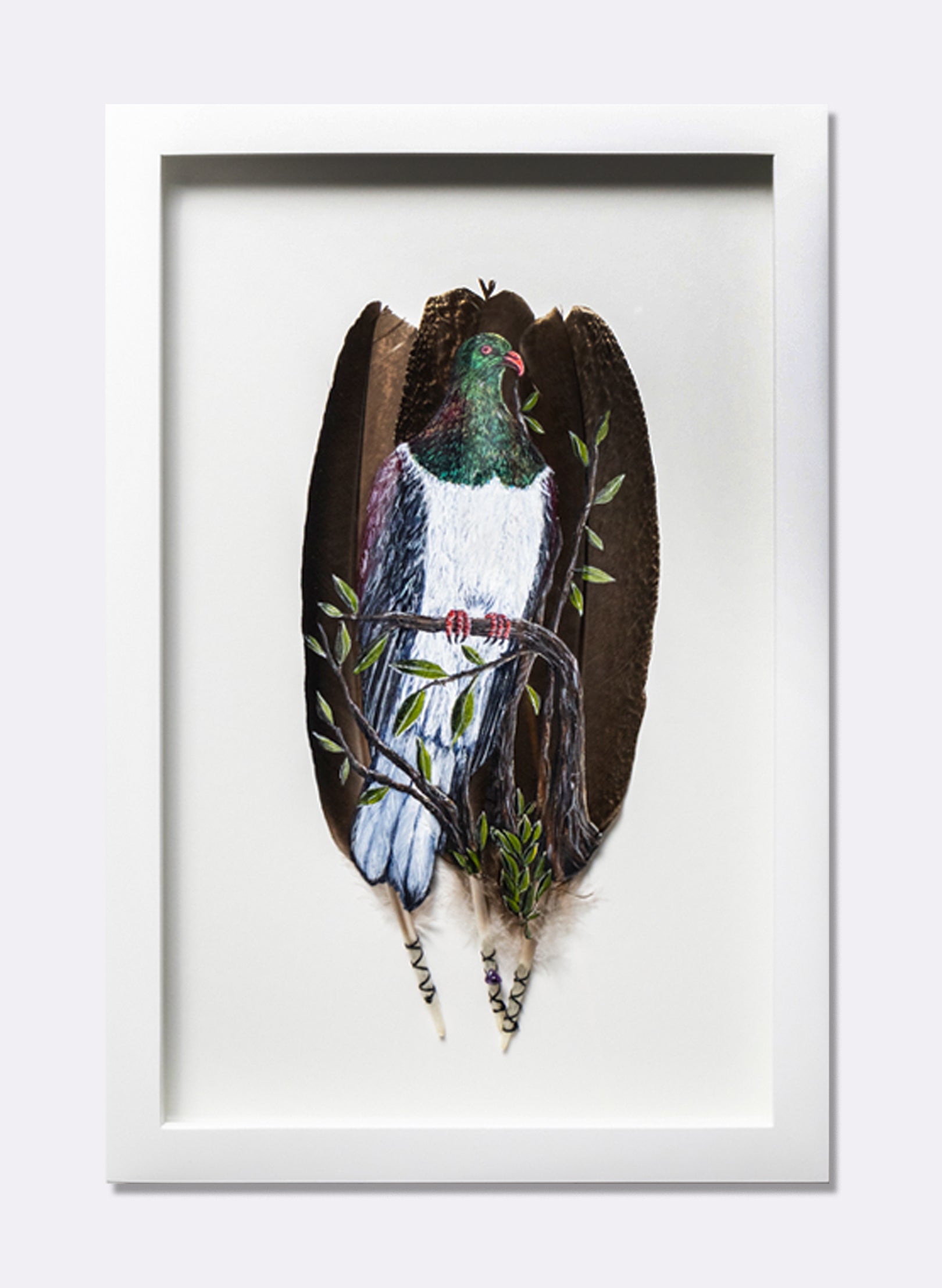 NZ Wood Pigeon - Kererū - Framed