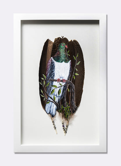 NZ Wood Pigeon - Kererū - Framed