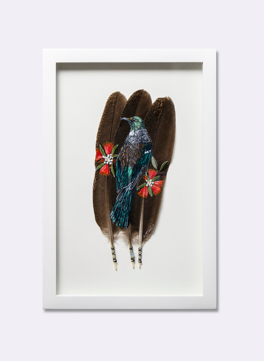 Tūī on Pōhutukawa