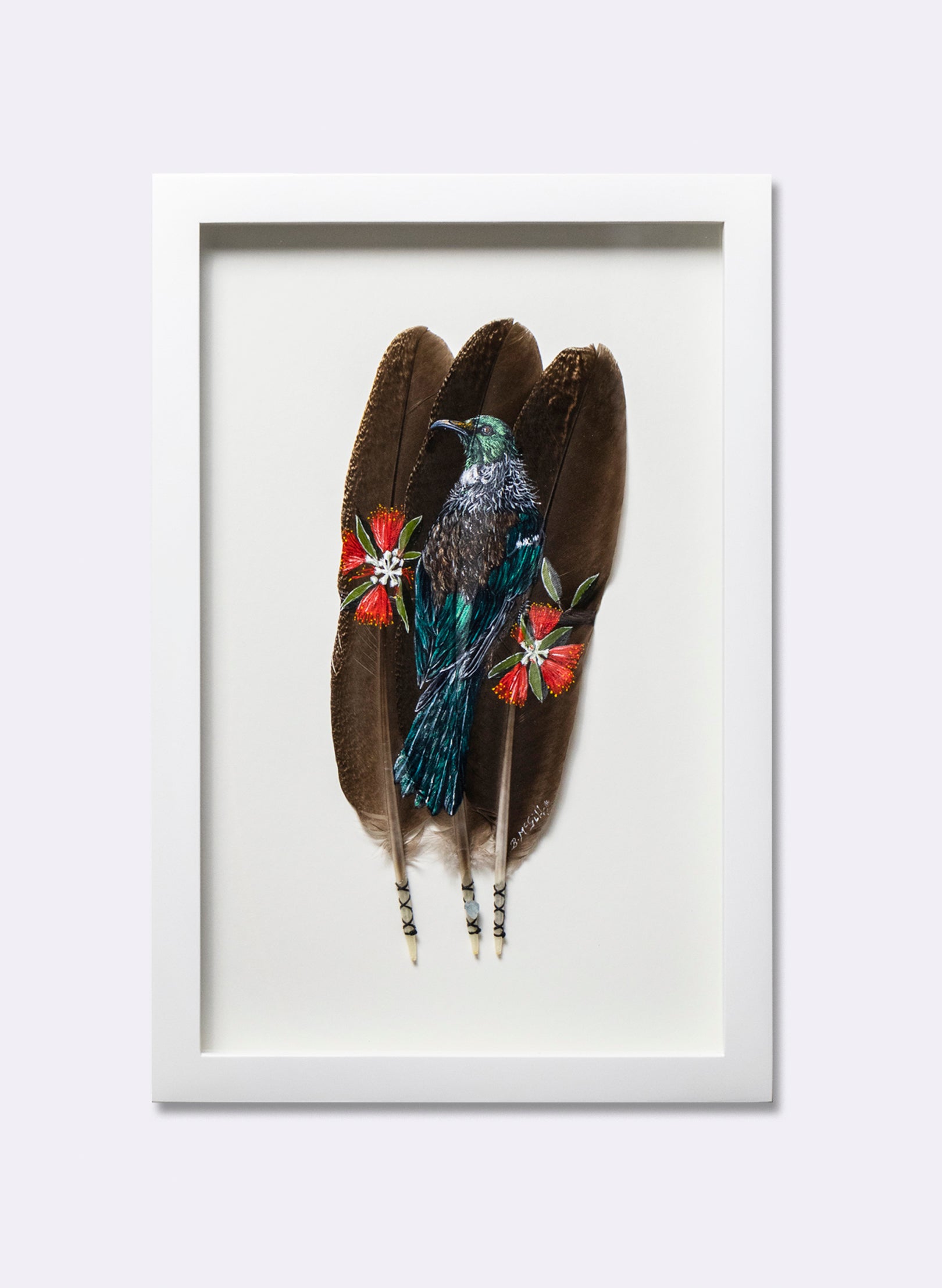 Tūī on Pōhutukawa
