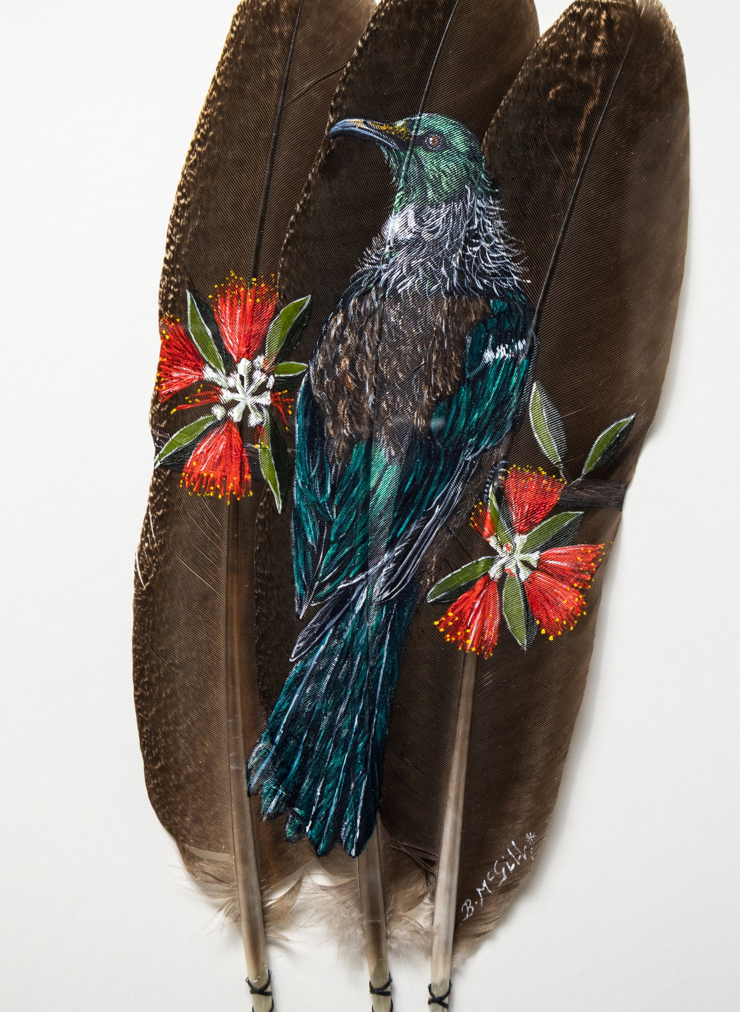 Tūī on Pōhutukawa
