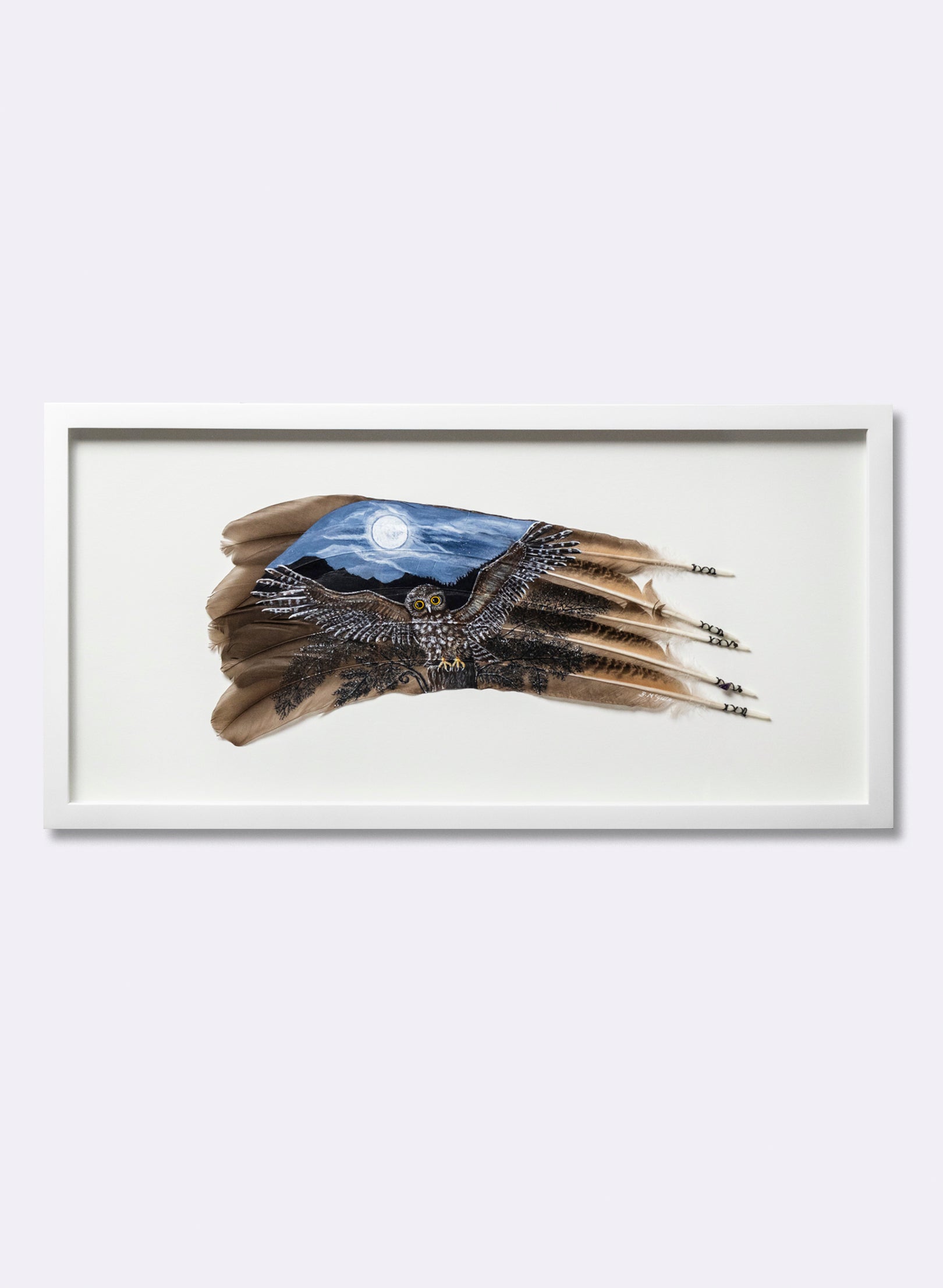 Moonlit Flight Morepork Ruru - Framed
