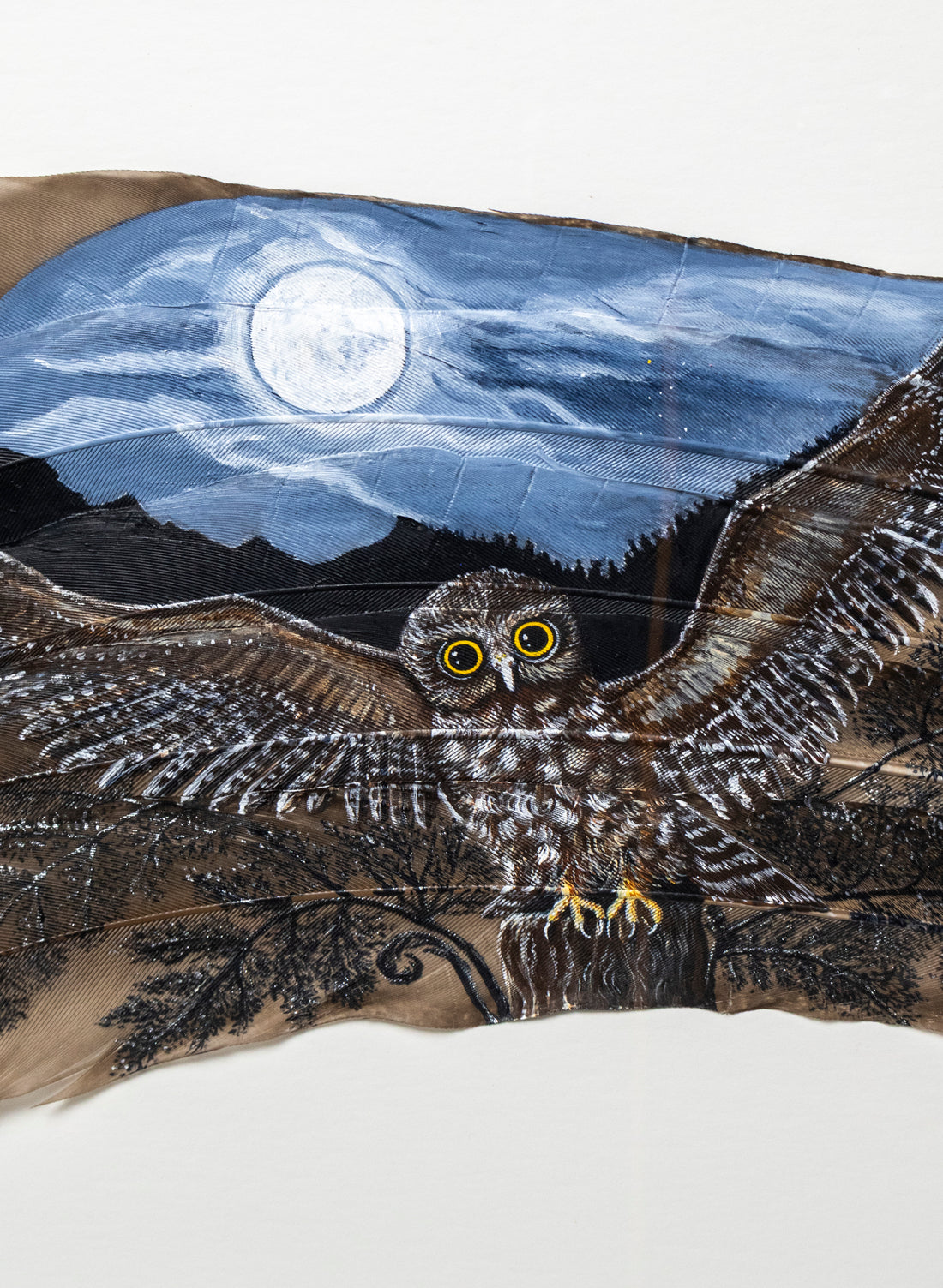 Moonlit Flight Morepork Ruru - Framed
