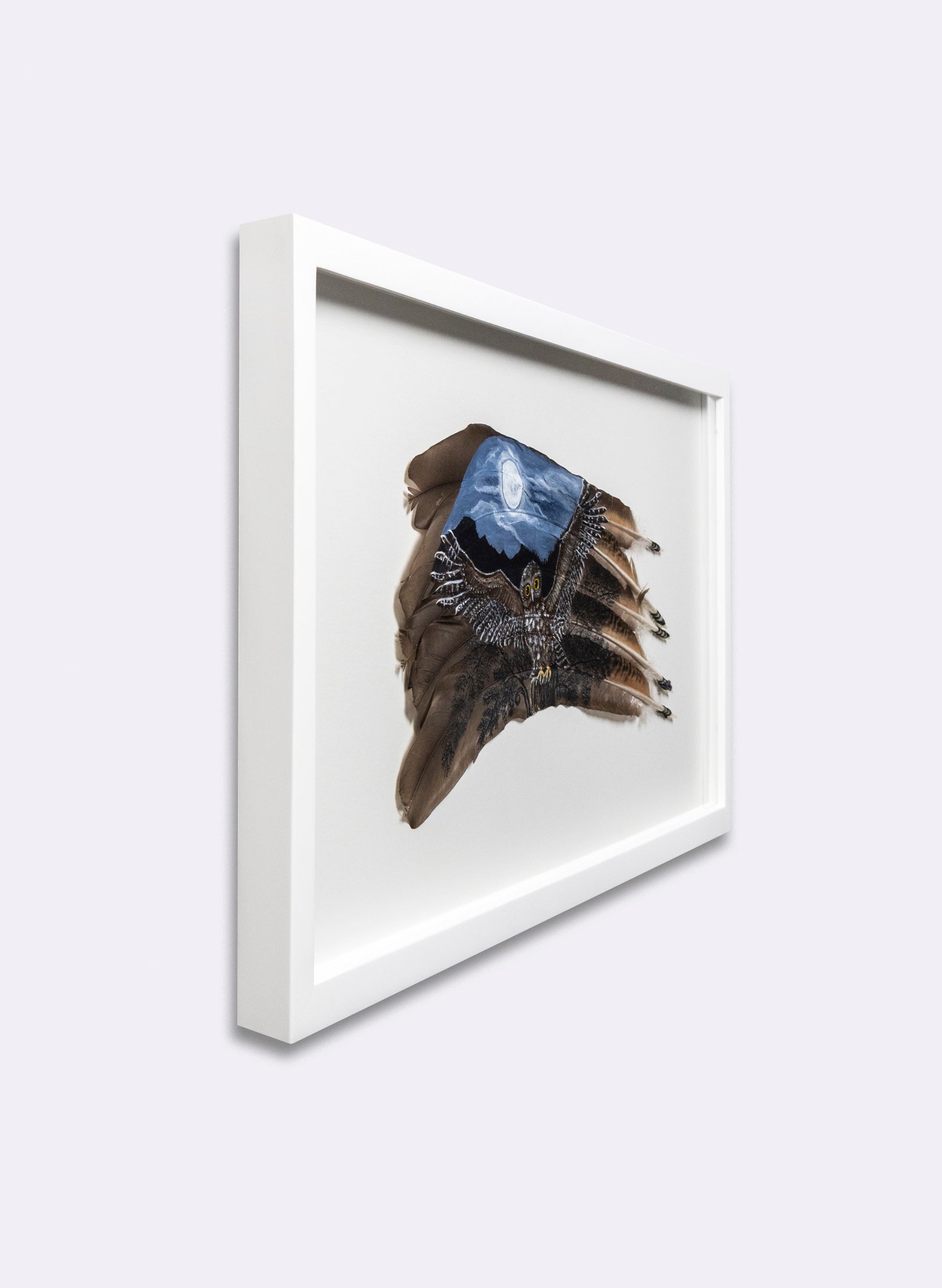 Moonlit Flight Morepork Ruru - Framed