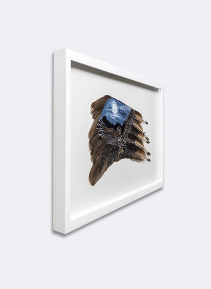 Moonlit Flight Morepork Ruru - Framed