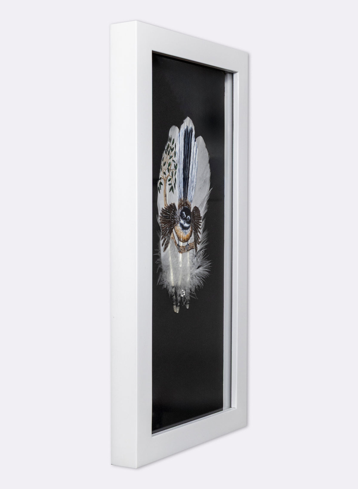Fantail - Framed