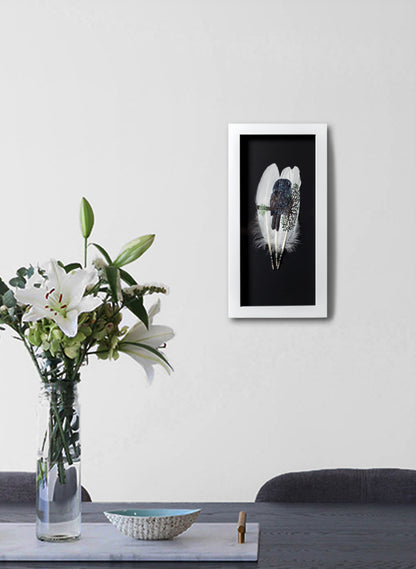 Little Black Robin - Kakaruia - Framed