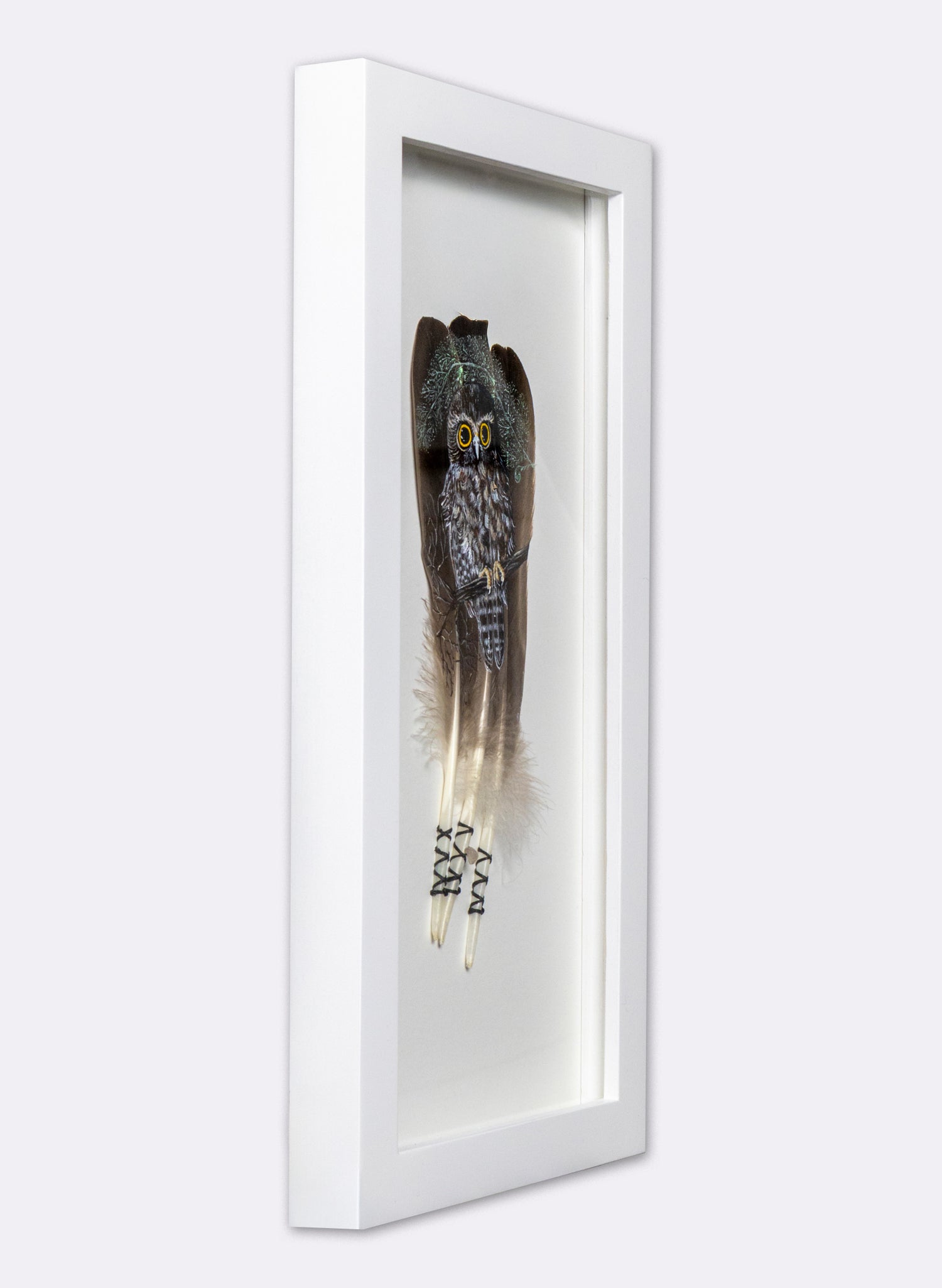 Morepork - Framed