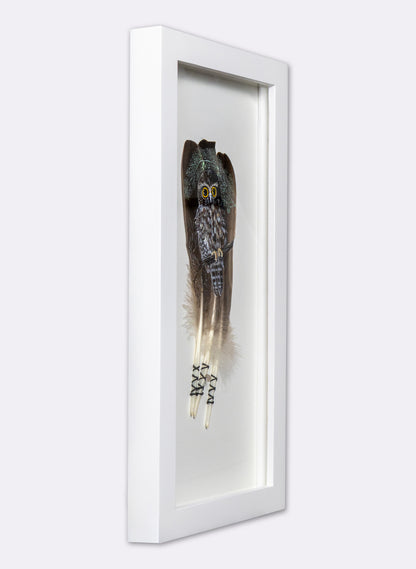 Morepork - Framed