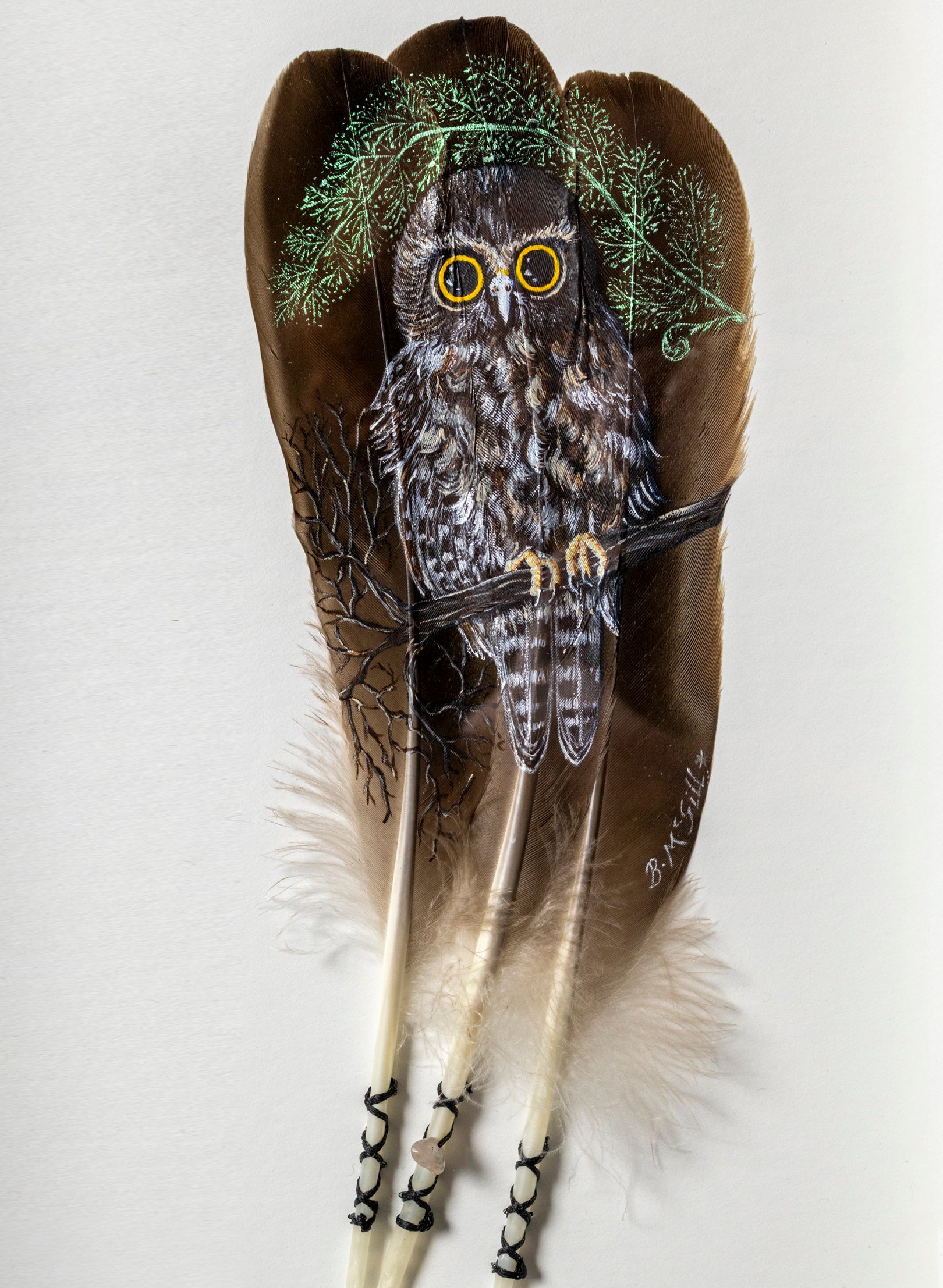 Morepork - Framed