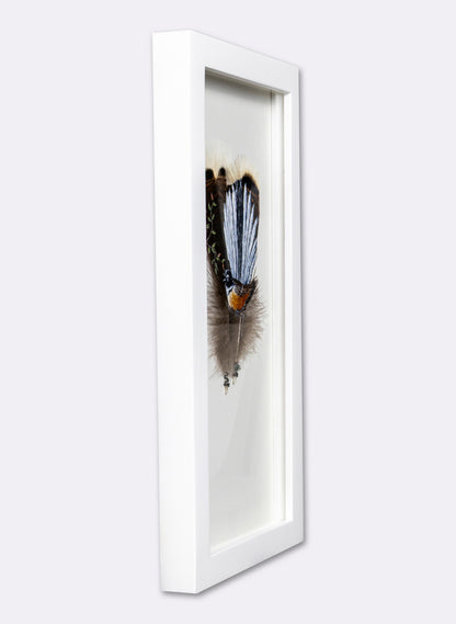 Piwakawaka Fantail - Framed