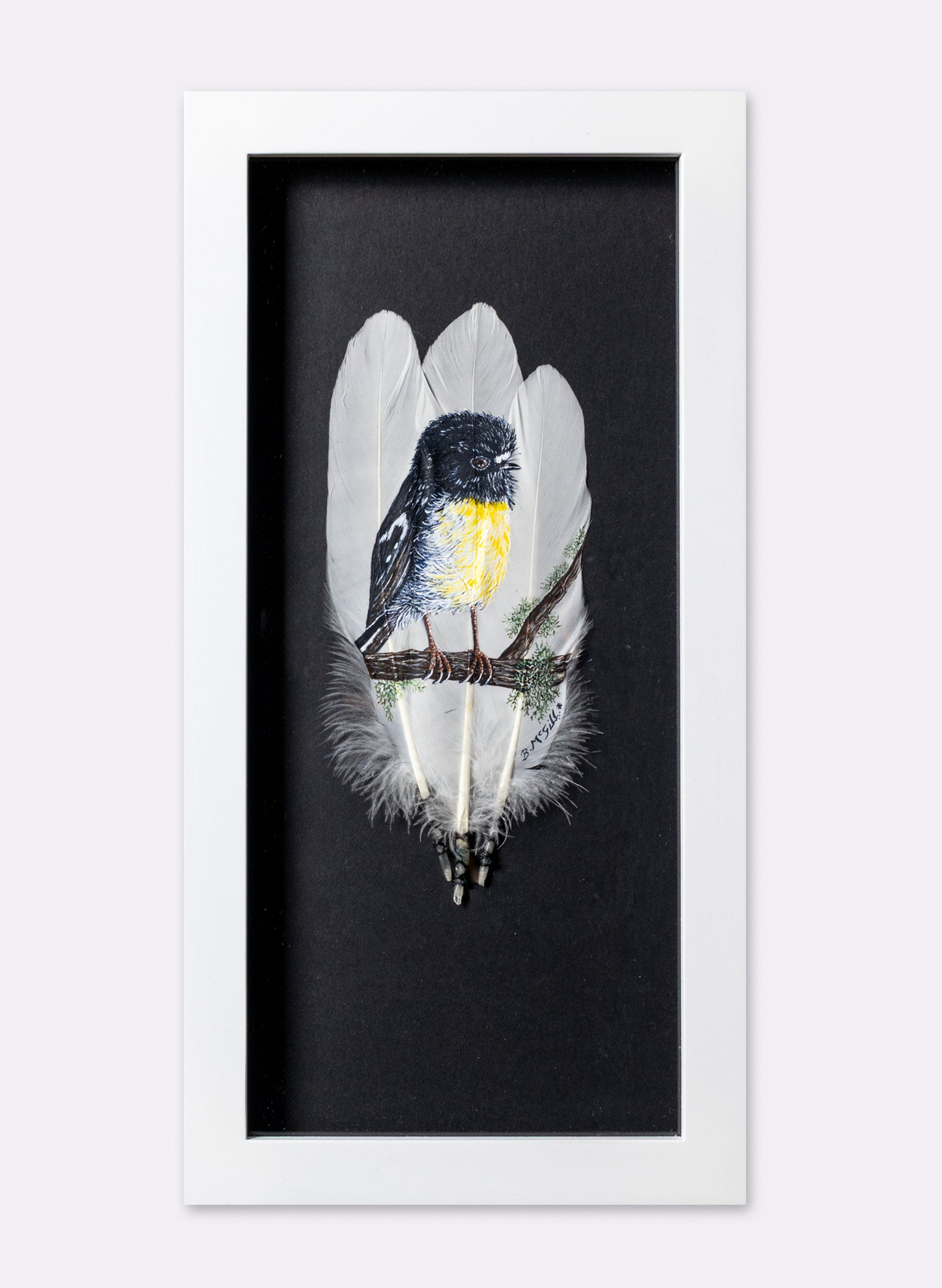 South Island Tomtit - Framed