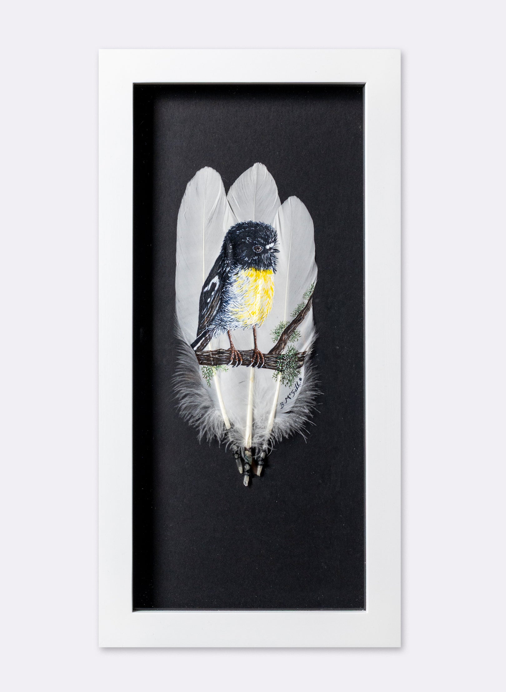 South Island Tomtit - Framed